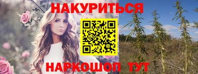 гашиш Кингисепп