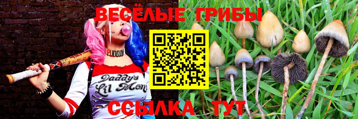 Красноярск  Галлюциногенные грибы мухоморы  Вход с VPN  Псилоцибиновые грибы Psilocybine cubensis 